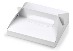 ピザ容器（手提げタイプ）